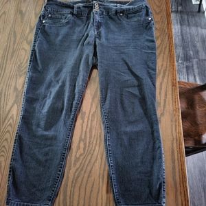 Plus Torrid Skinny Jeans